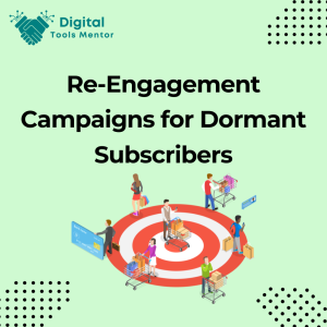 Re-engagement Campaigns for Dormant Subscribers